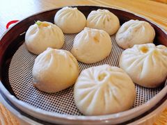 -桐香园小笼包(百井坊巷店)
