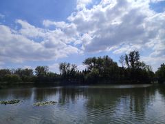 -溱湖国家湿地公园