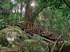 -海南霸王岭国家森林公园
