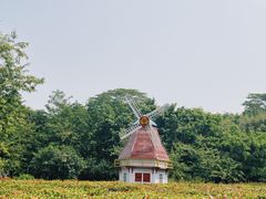 -东莞植物园