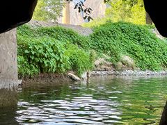 -野三坡清泉山风景区