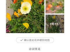 -徐家汇源景区-衡山公园