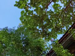 -山东师范大学(千佛山校区)