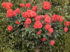 -下沉广场(羊坊店街道)