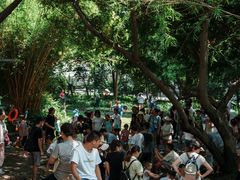 -成都市活水公园