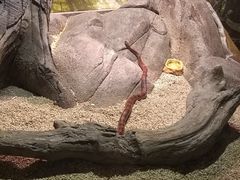 -苏州海洋馆
