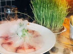 -好彩猪肚鸡(正弘城店)