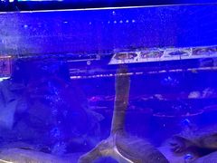 -王捌小院(红花坡店)