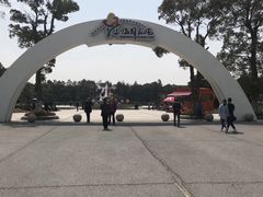 -上海鲜花港