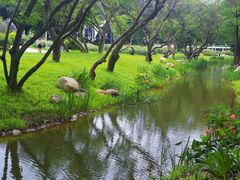 -人民公园(罗湖区)