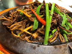 茶树菇炒蹄筋-文杏酒楼(一品天下店)