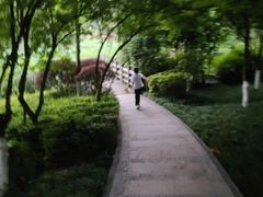 -龙头寺公园