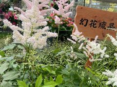 -上海鲜花港
