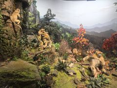 -陕西自然博物馆