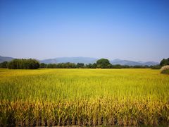 -良渚古城遗址公园