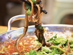 -谢老五跷脚牛肉·非遗传承店