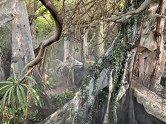 景点-青青世界