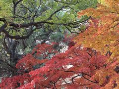 -青岛崂山太清宫