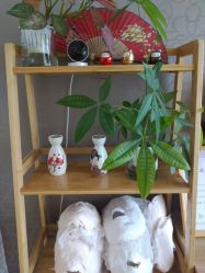 -JNK皮肤管理中心