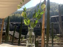 -MOJ coffee(瓯海泽雅水碓坑店)