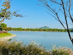 -羊山湖公园