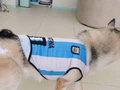 -怪兽屋·羊驼·猫咖·狗咖(俊华广场店)