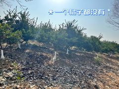 景点-张公山寨景区