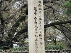 -名古屋城