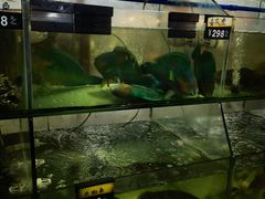 -岛中岛·海鲜大排档·万宁老字号(东澳店)