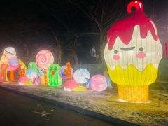 -沈阳奥体冰雪嘉年华