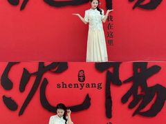 -中街·盛京龙城
