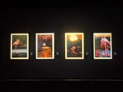 -罗红摄影艺术馆