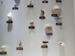 -泉城欧乐堡海洋极地世界