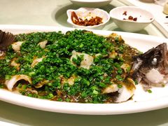 烧椒鲈鱼-尘香•传统川菜(创汇首座店)