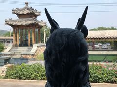 -那家小馆•北京菜•烤鸭(香山店)