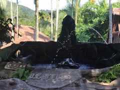 -海南槟榔谷黎苗文化旅游区