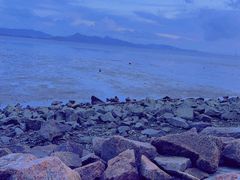 -深圳湾公园(南山区)