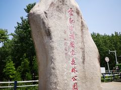 门面-合肥滨湖国家森林公园