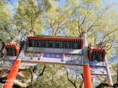 -北京国子监胡同