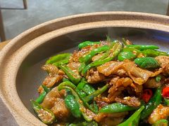 辣椒炒黑猪肉-鸽子窝(青塔店)
