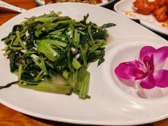 -宴武夷·匠心闽味(印象大红袍店)