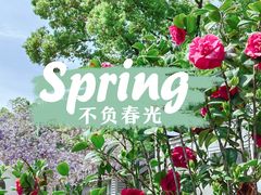 -东湖磨山景区