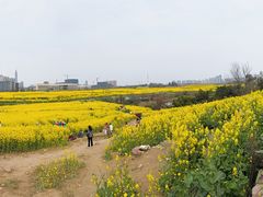 -三圣花乡旅游区