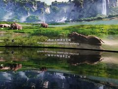 -中国湿地博物馆