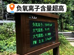 -天目山大树王景区