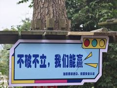 -芦仙山景区-飞越丛林探险乐园