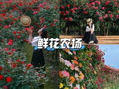 -栖露营camping·天幕烧烤·团建拓展·采摘营地