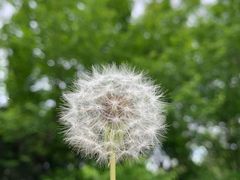 -秦始皇帝陵博物院-丽山园