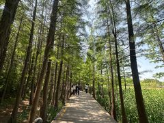 -云龙湖旅游景区