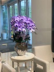 -MuseMarry婚纱(前海嘉里中心店)